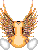 body4