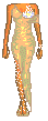 d14
