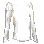 long (2)
