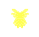wings5