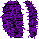 purpleo4