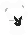 graye13
