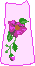 hf1