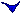 bottomblue1
