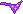bottompurple0