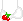 topwhite
