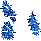 boa2