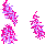 boa3