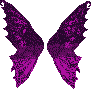 purpleb