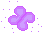 acc (22)