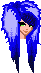 shdd6