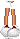 c20