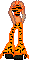 a5