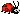 animal2