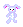 animal6